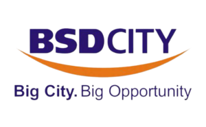 BSD_CITY_Logo